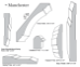 Ferche Manchester Style Moulding
